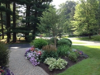 Best Planting Service in Penfield
